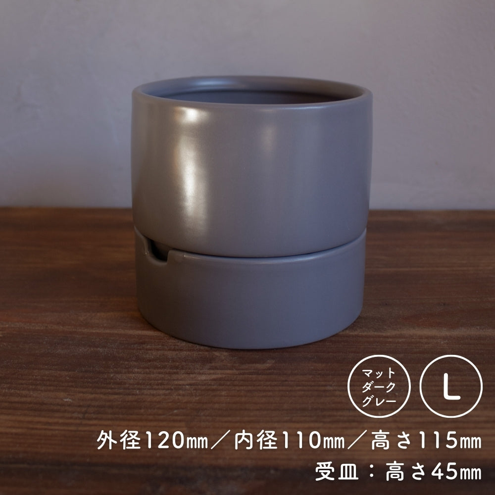 すーさん Lサイズ