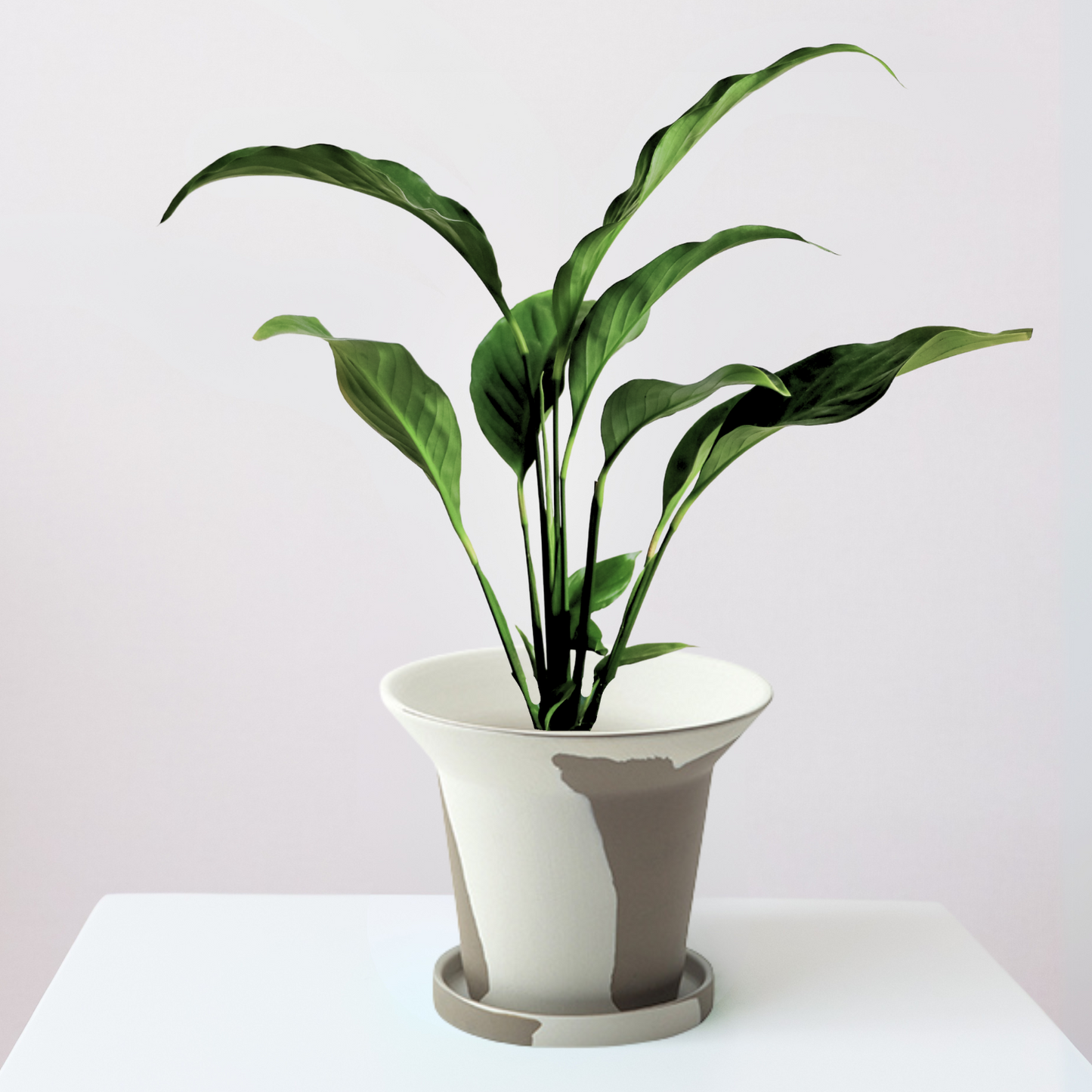 POSH LIVING フィーカポット