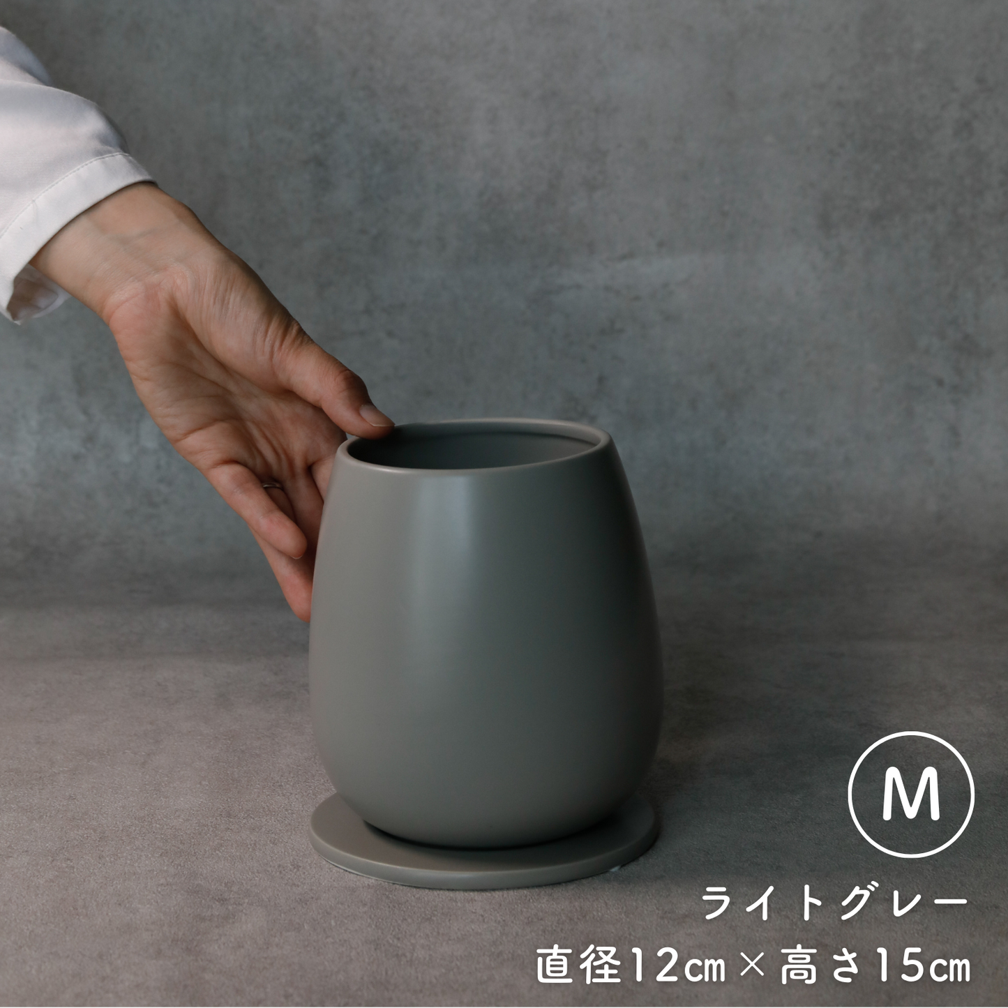 たまごさん Mサイズ