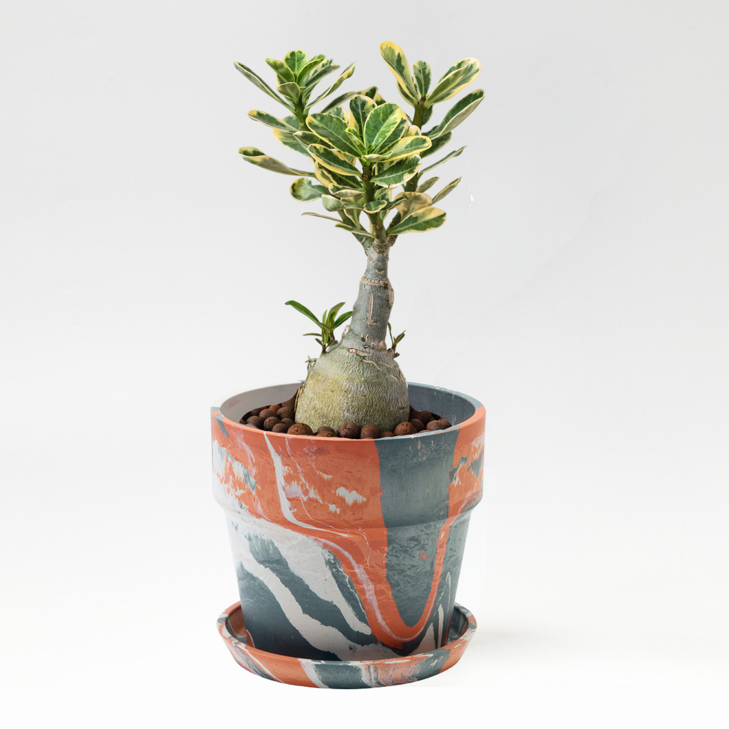 POSH LIVING アーバンプランツポット 4号