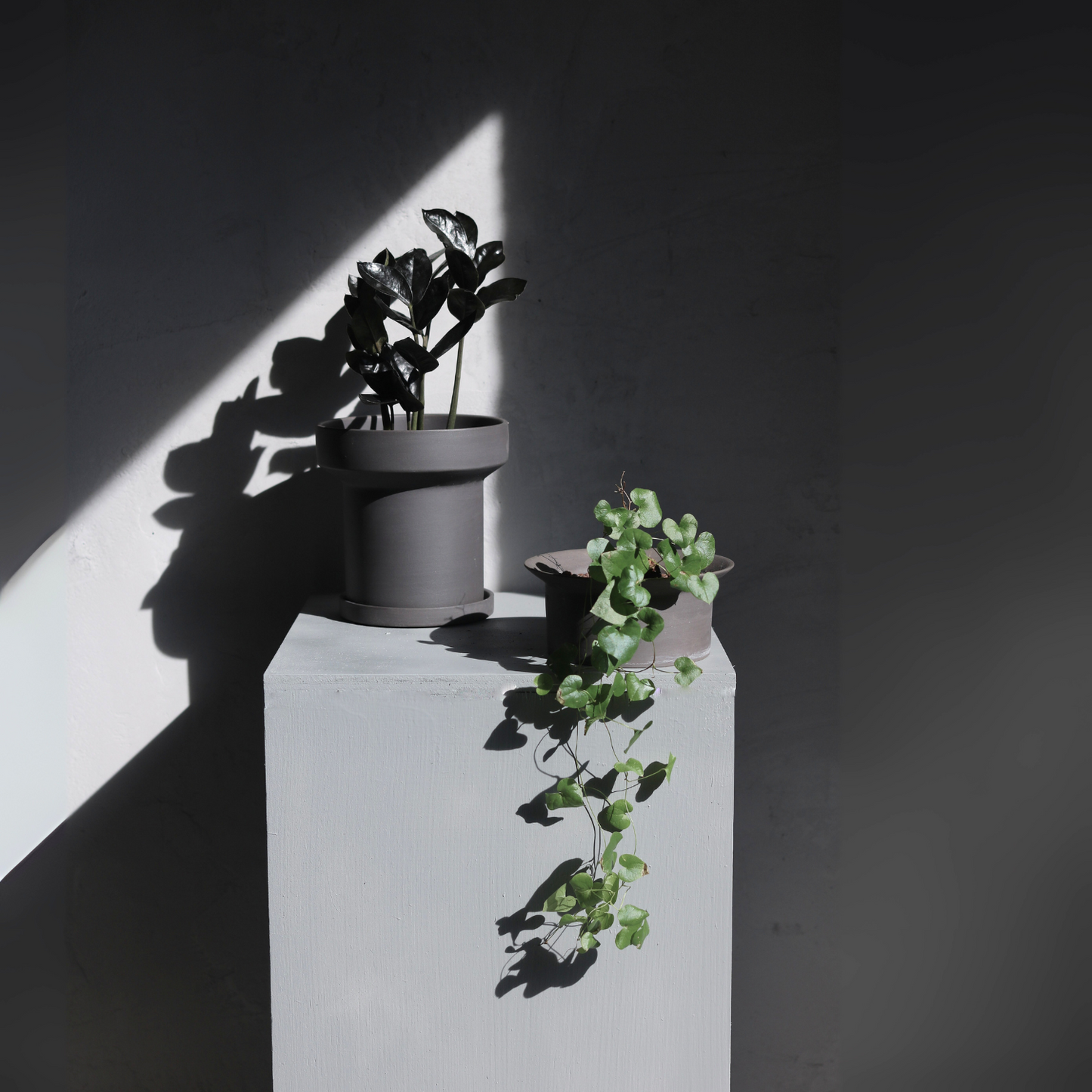 ハットさん Lサイズ