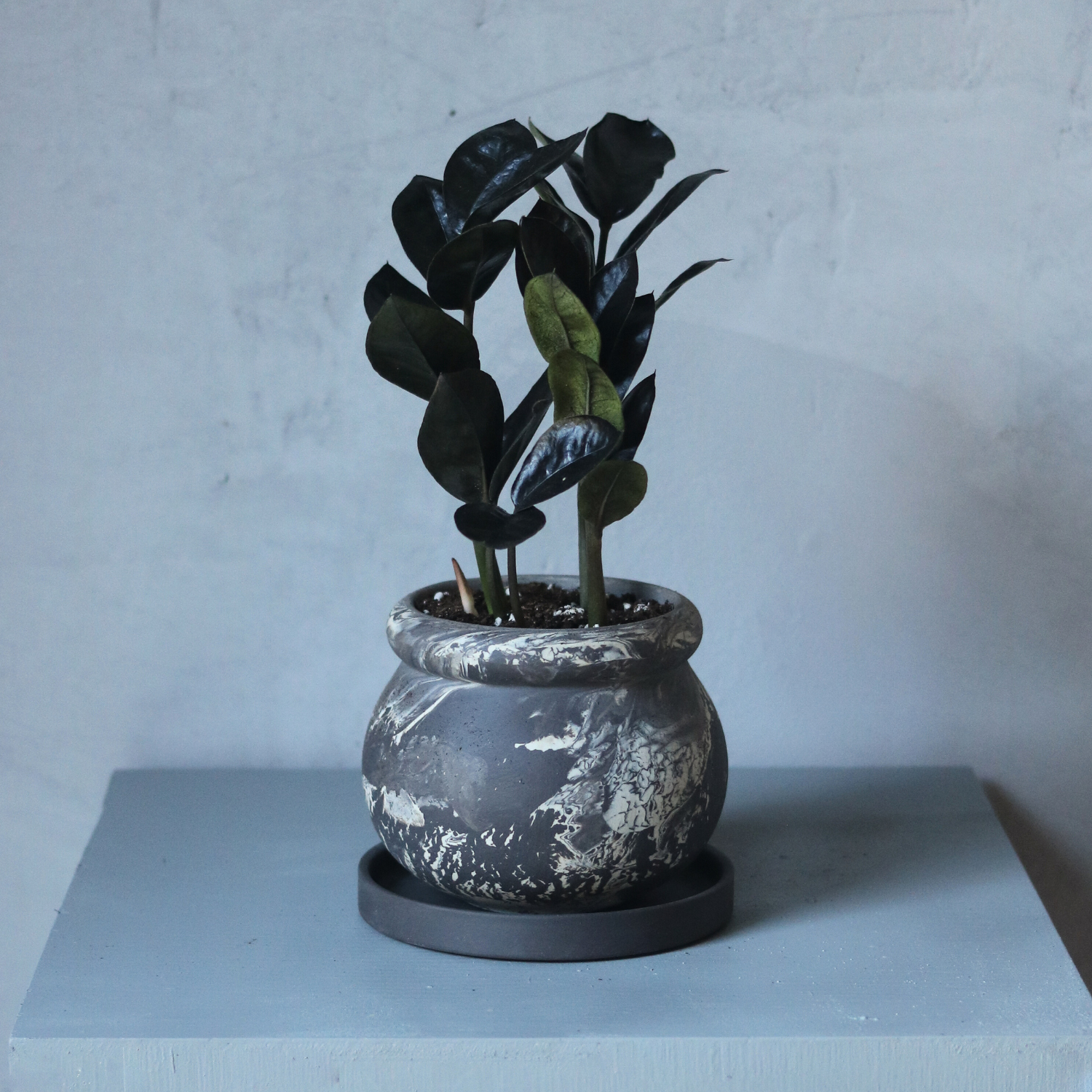 おしゃれな植木鉢 土の表情を楽しむ受け皿付き「ころん鉢」|3号〜4号