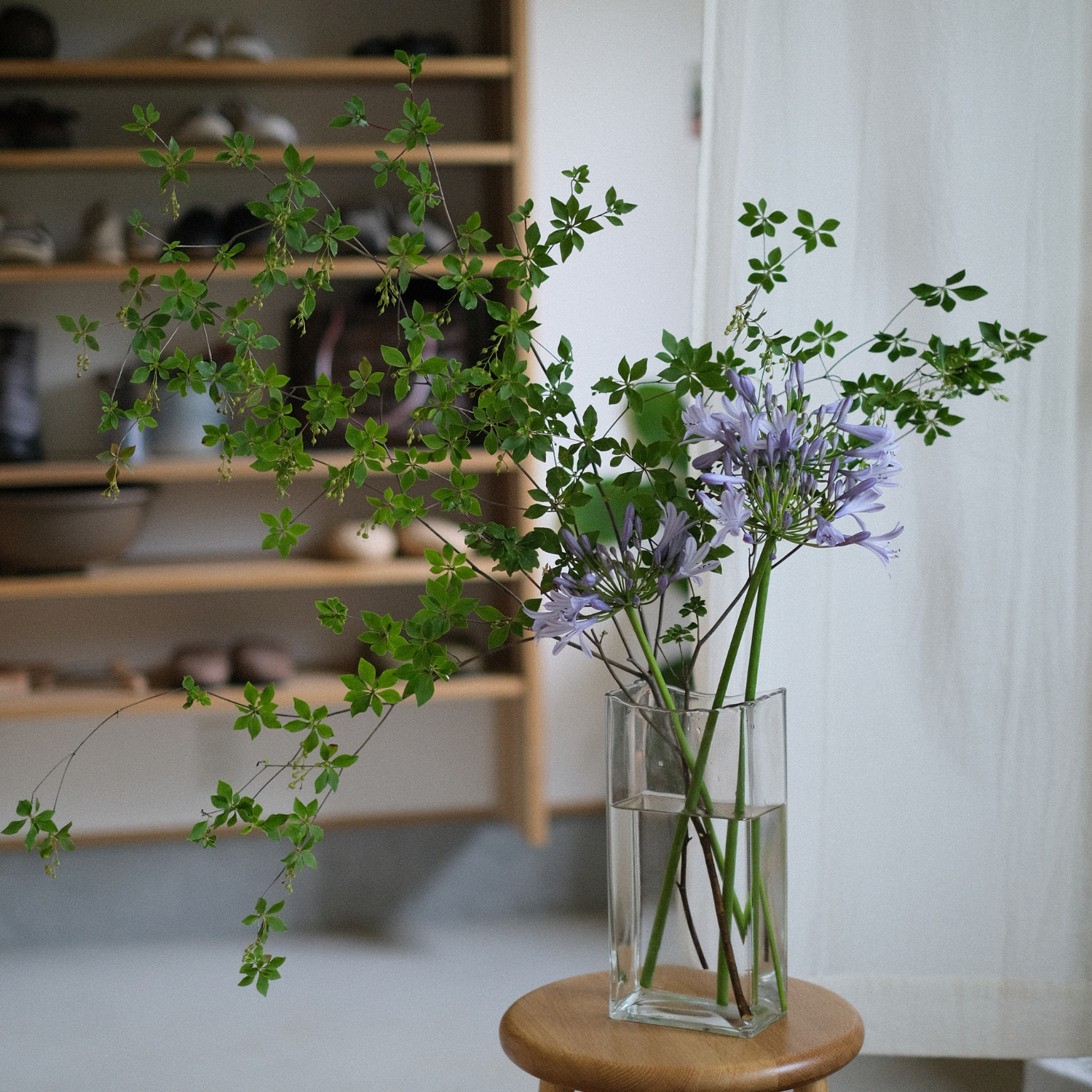 PCVG-20-L-CL.png?v=1748502452 PCVG-20-L-CL.png?v=1748502452