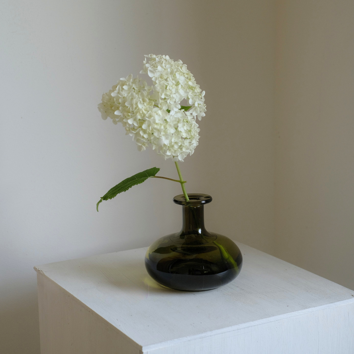 グリーンビーンズ 3点セット