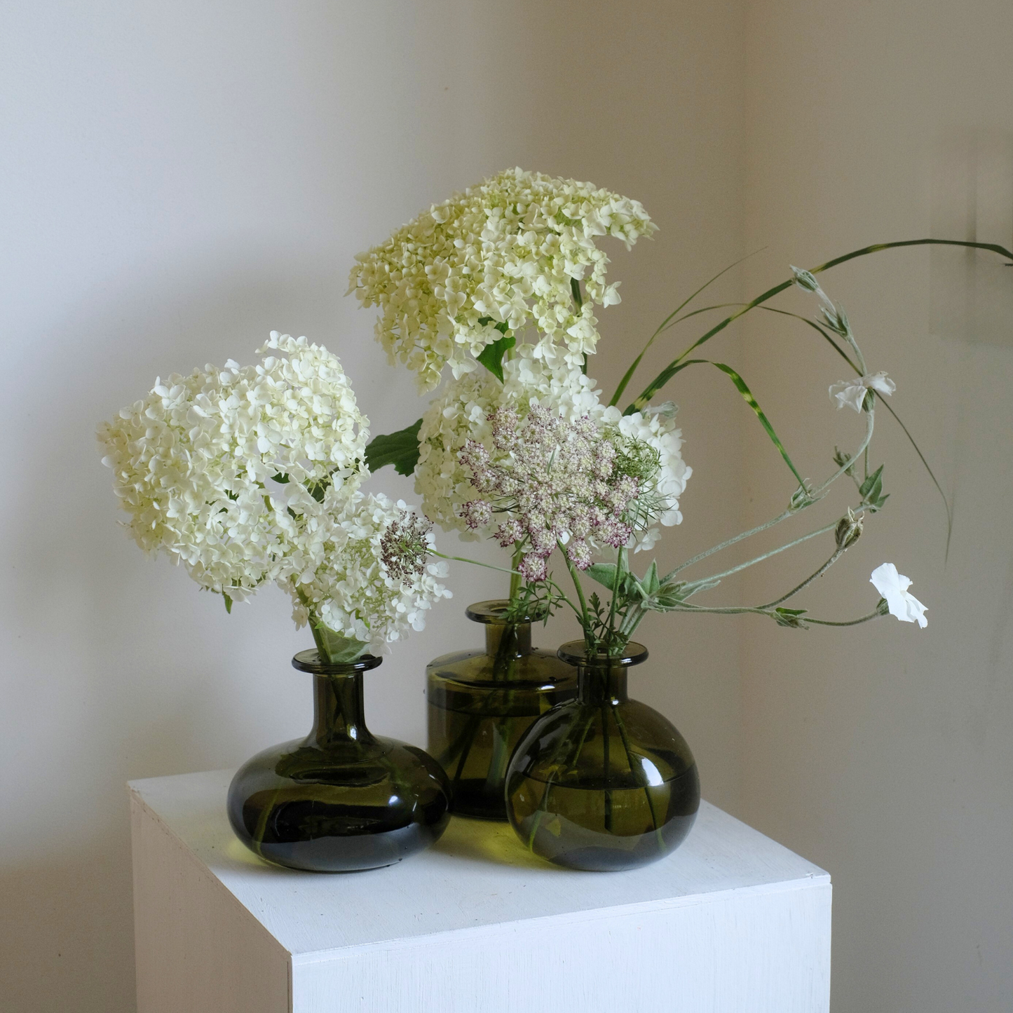 グリーンビーンズ 平ら