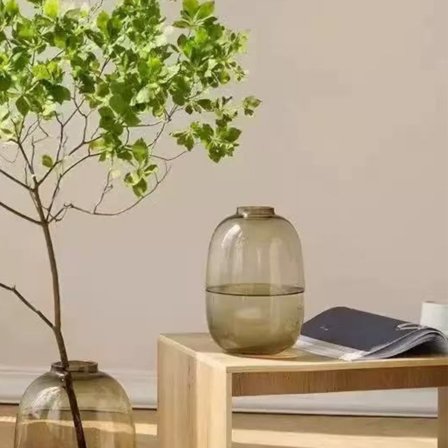 ちゃのまゆさん Mサイズ