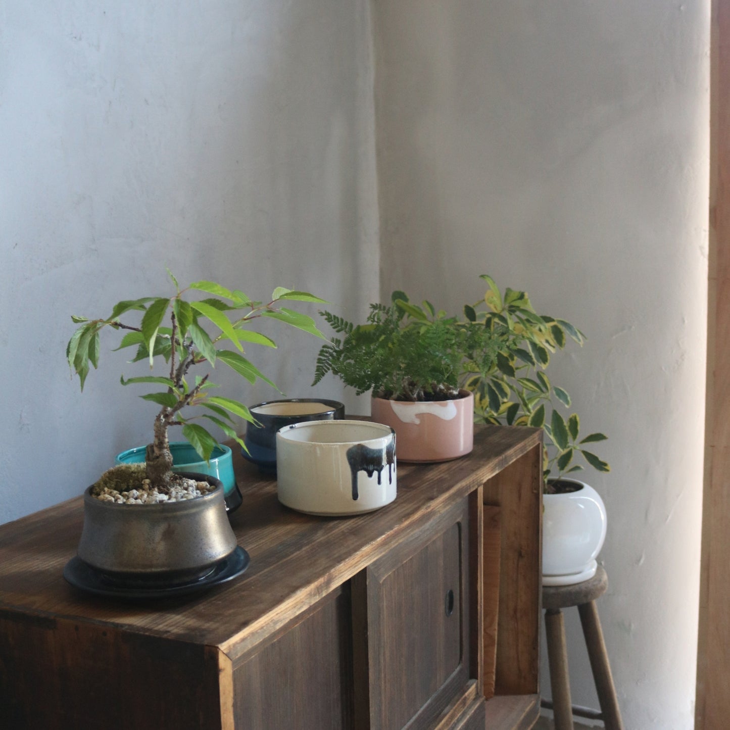 盆栽鉢 山型 受け皿付き