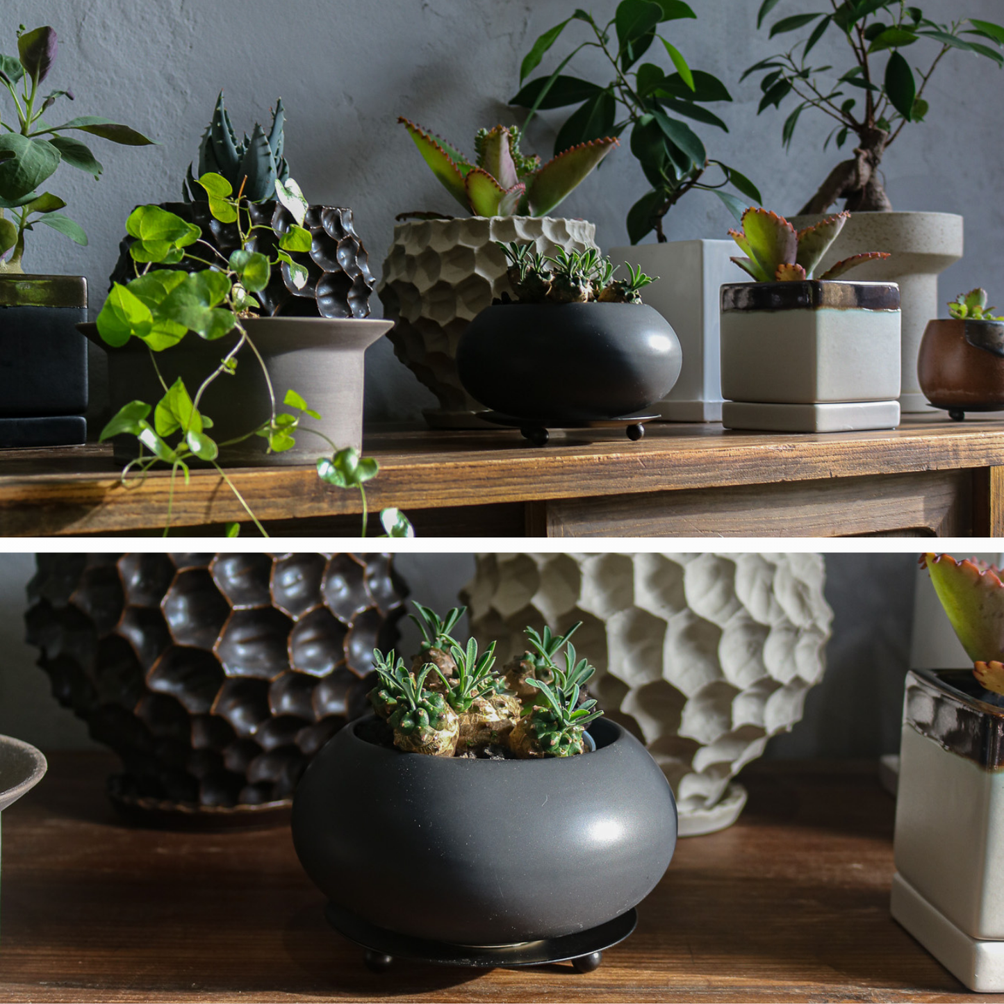 黒豆さん(受け皿付き)