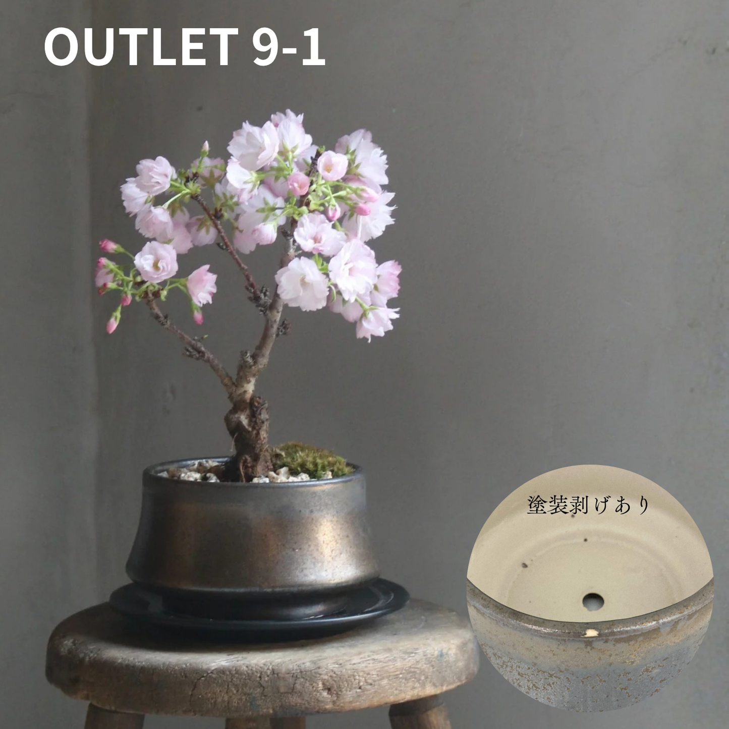 【アウトレット品】盆栽鉢 山型 金零 受け皿付き