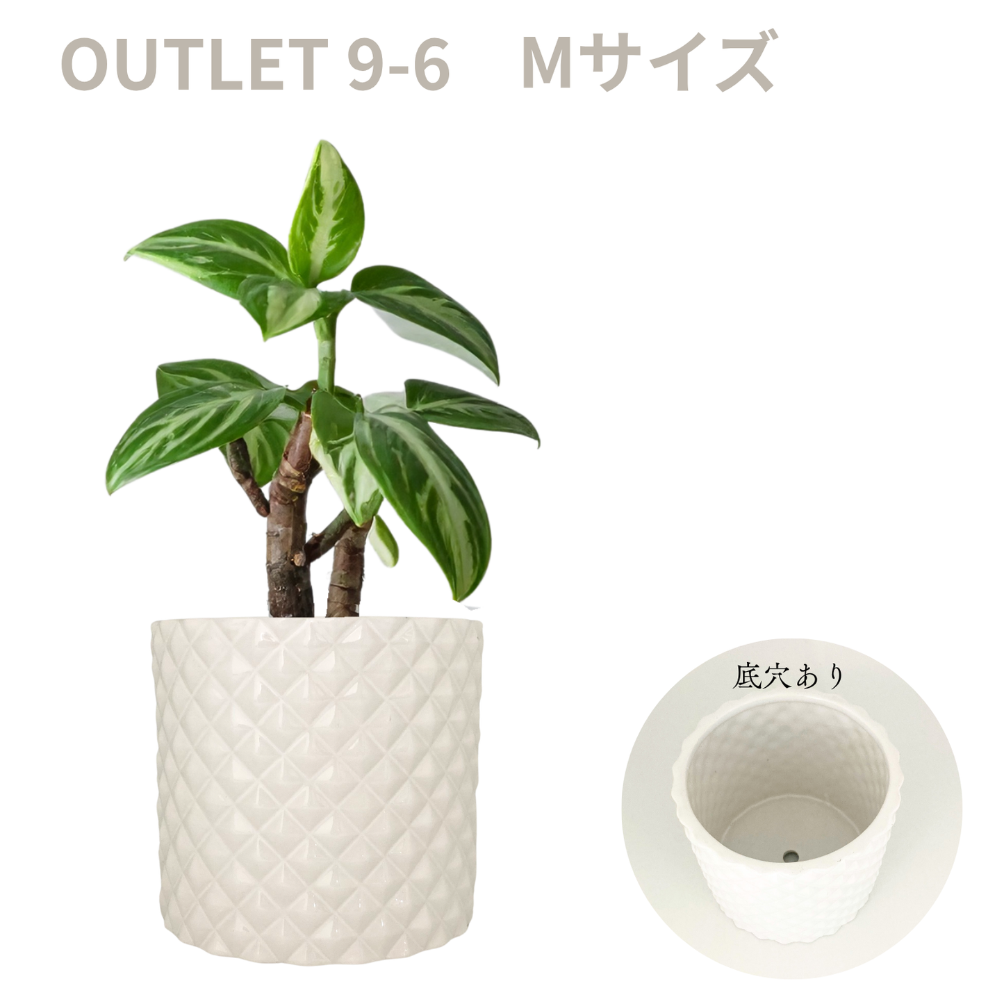 【現品限り】ダイヤ柄の鉢 Mサイズ