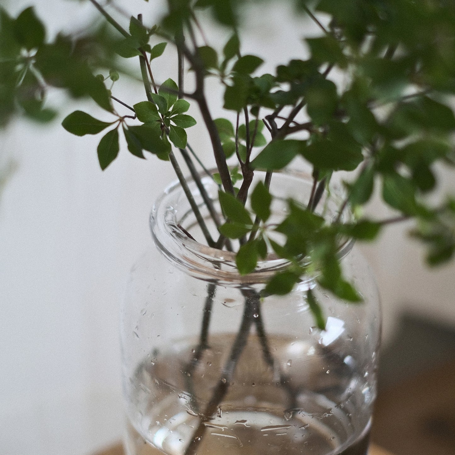 どすんさん Lサイズ