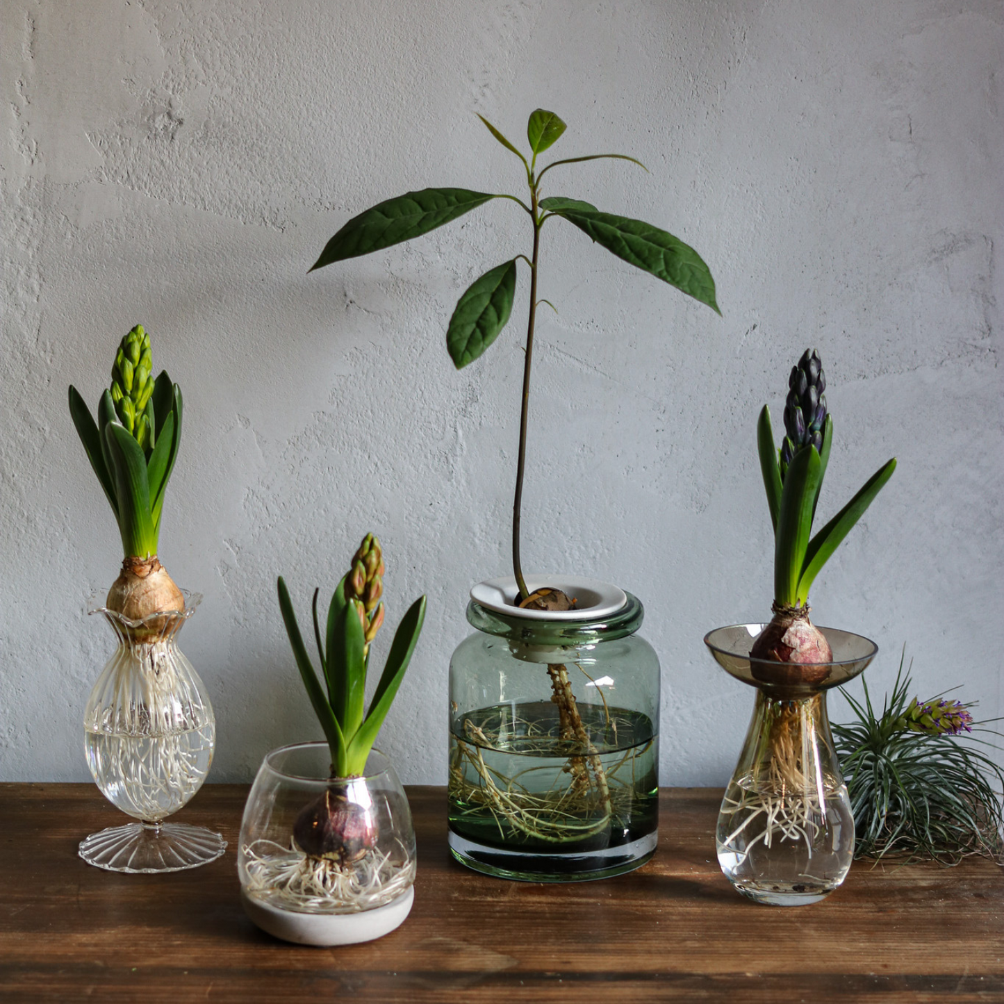 どすんさん Sサイズ