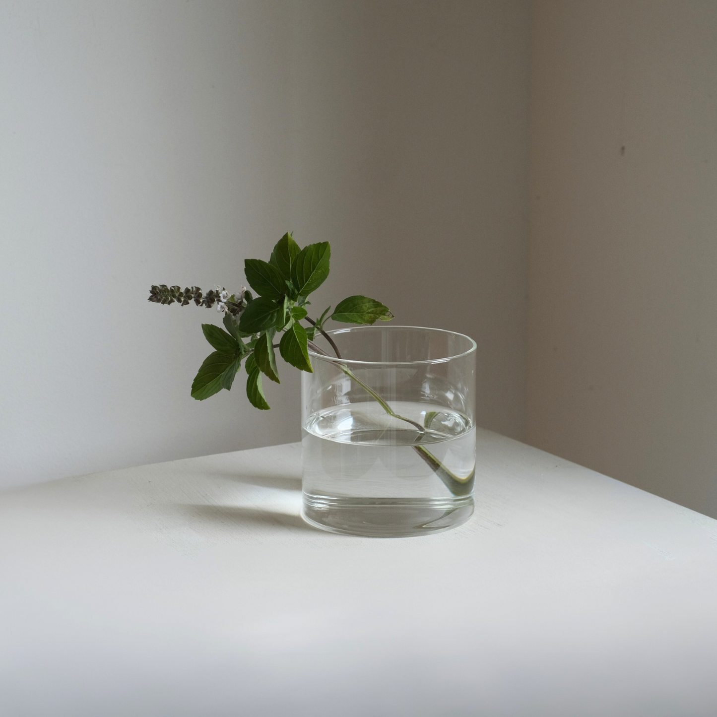 つつさん 8cm×H8cm