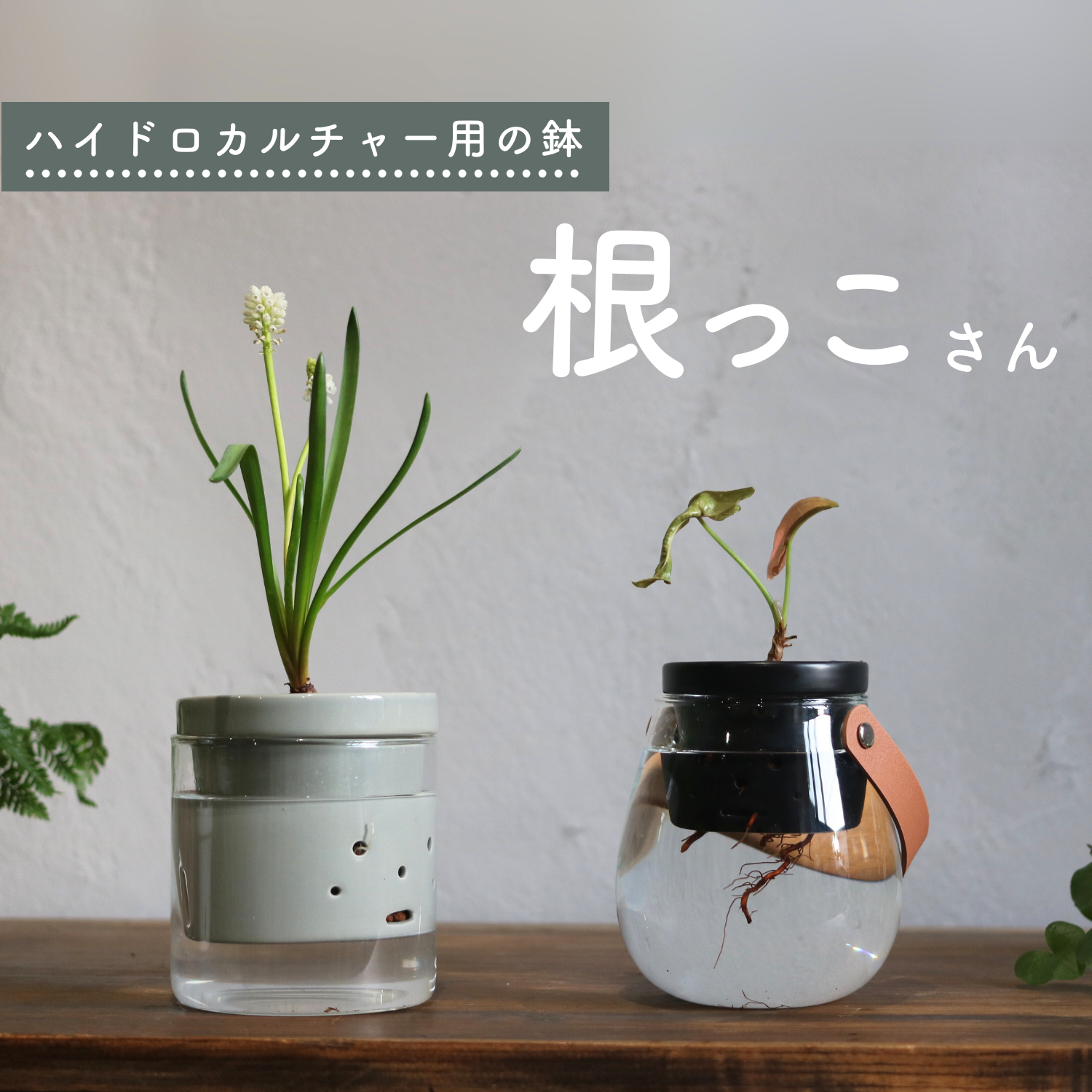 植木鉢　鉢　3 楽天市場】Kitagawa Kazuki【 円柱 -Low- 】φ10×H6.5cm植木鉢 3