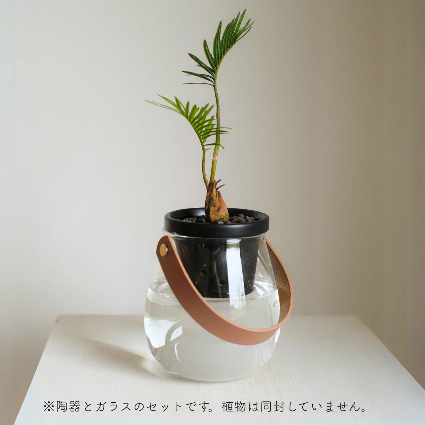 水耕栽培用鉢 根っこさん Sサイズ