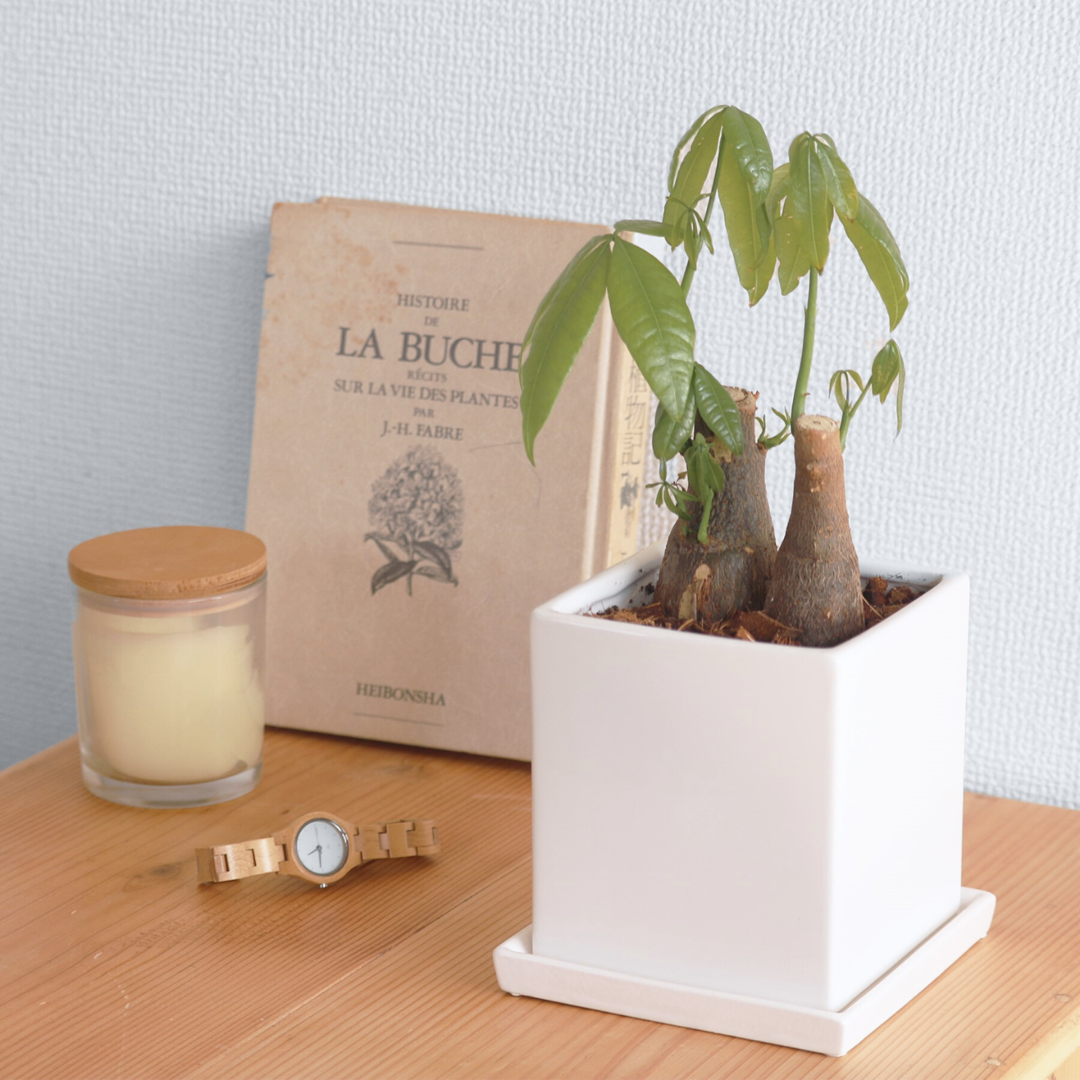 かっこいい植木鉢|卓上サイズ|白色,黒,赤,ダークグレー,ライトグレー かっこいい植木鉢|卓上サイズ|白色,黒,赤,ダークグレー,ライトグレー