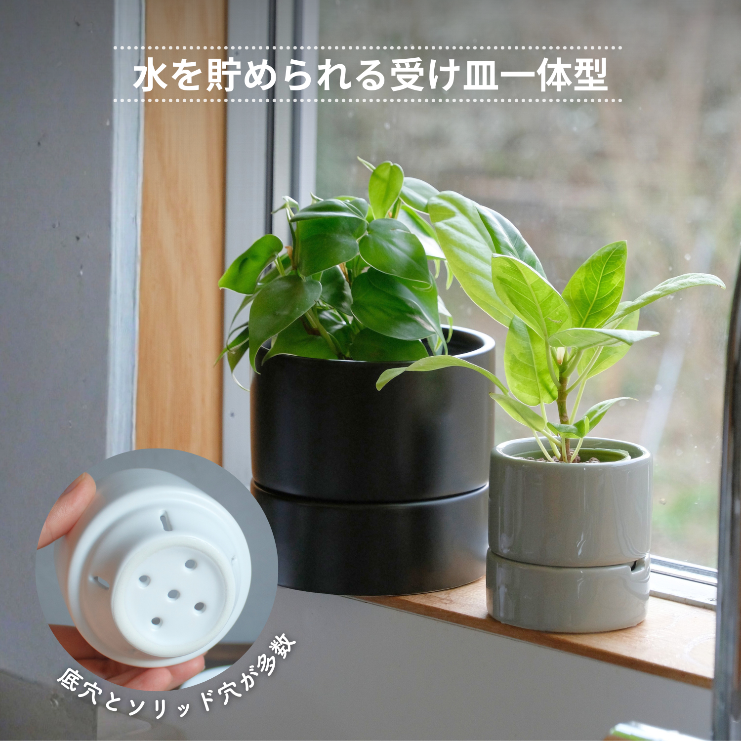 食虫植物・ハイドロカルチャーにぴったり｜陶器 植木鉢｜2号｜すーさん
