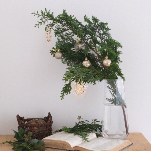 六花さん Mサイズ