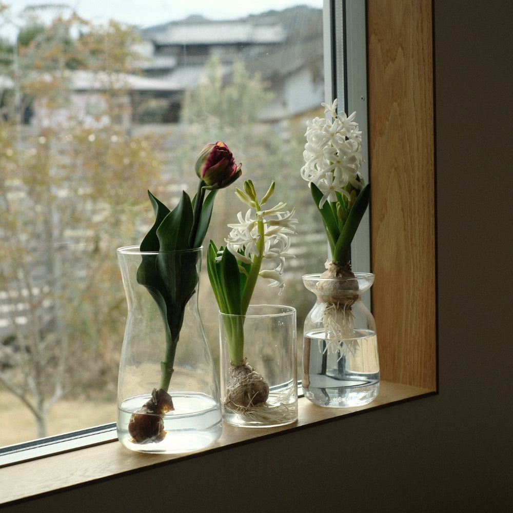 こしたかさん 三角