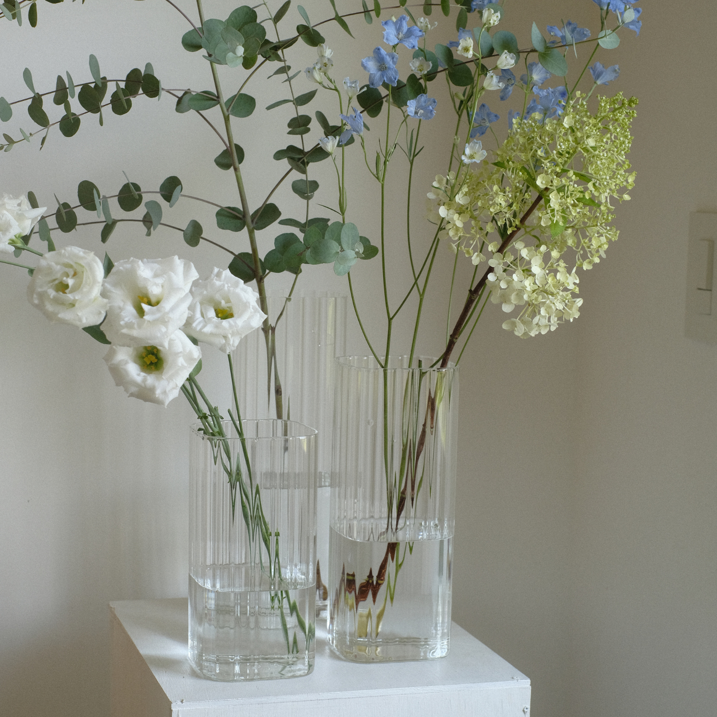 ながしかくさん Sサイズ