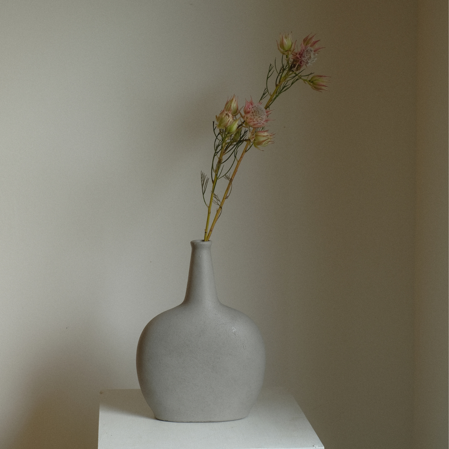 やよいさん 平ら型 Mサイズ