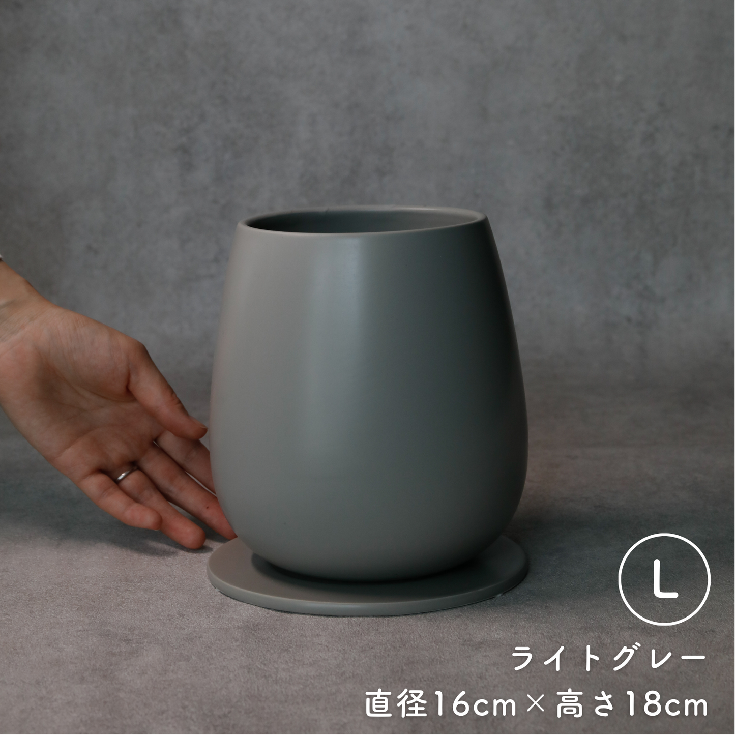 たまごさん Lサイズ