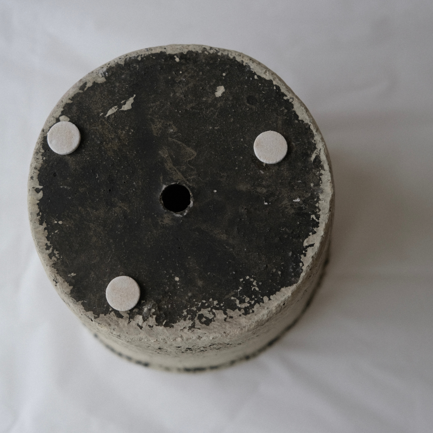 チーズケーキさん 中サイズ