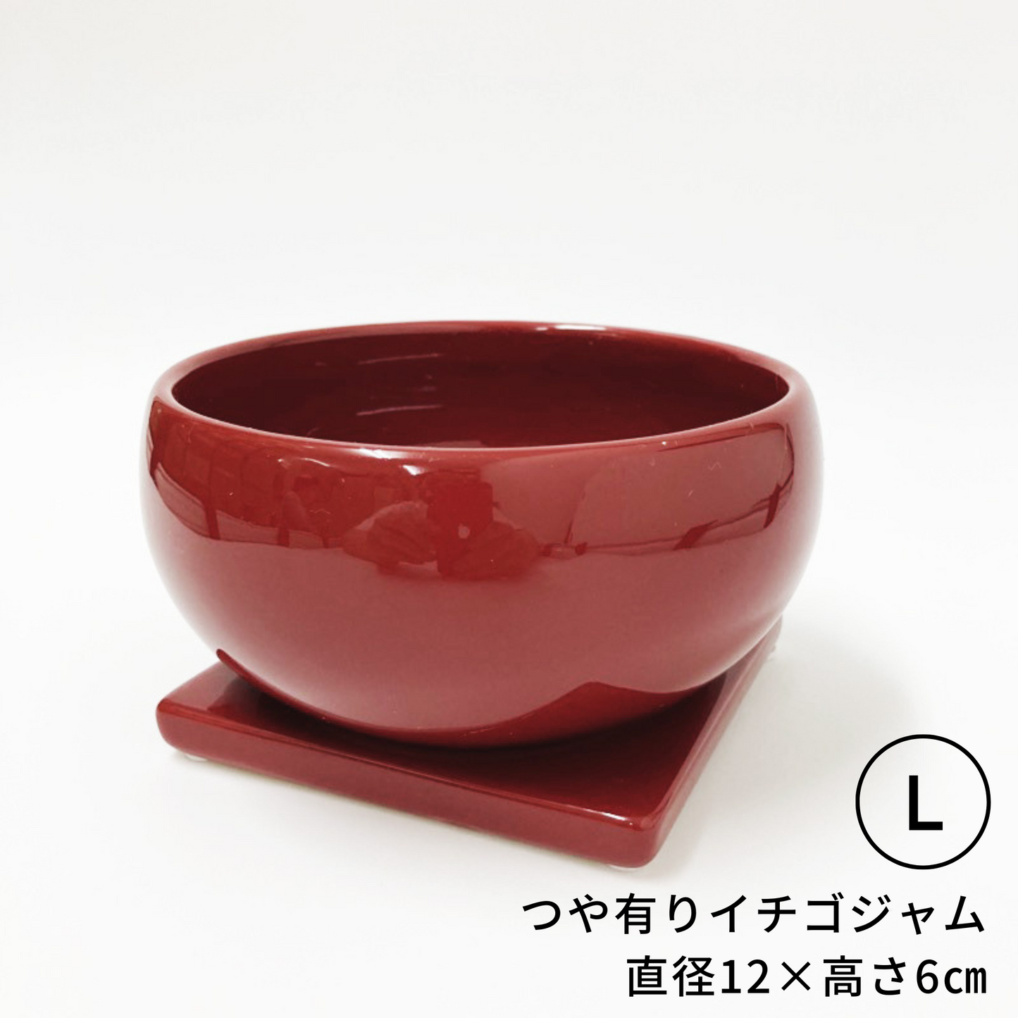 小・中・大盛さん Lサイズ