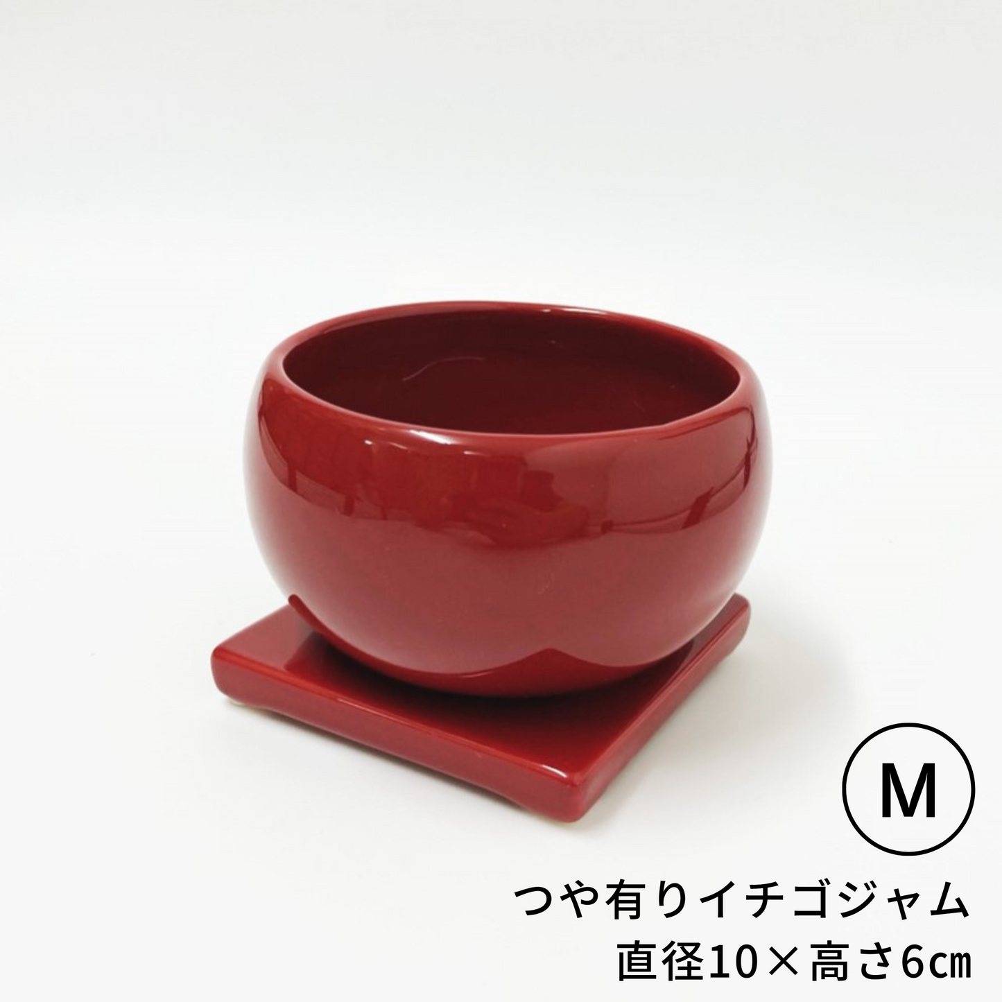 小・中・大盛さん Mサイズ