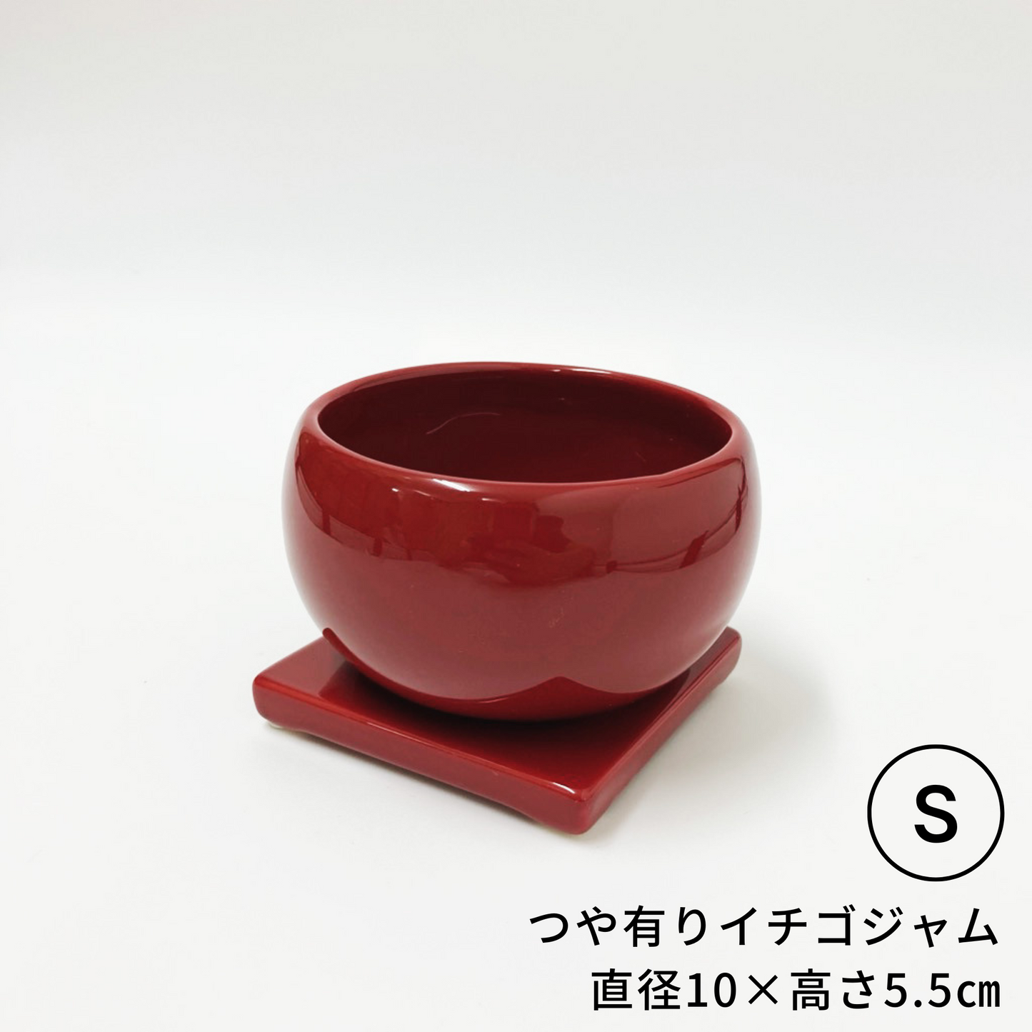 小・中・大盛さん Sサイズ