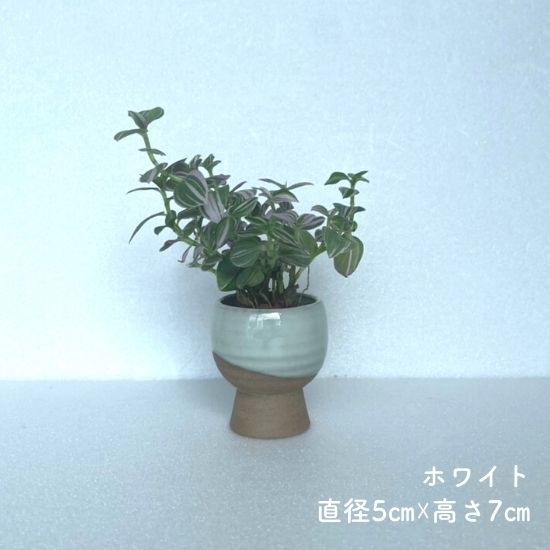 【サンプル品】台座さん 底穴なし