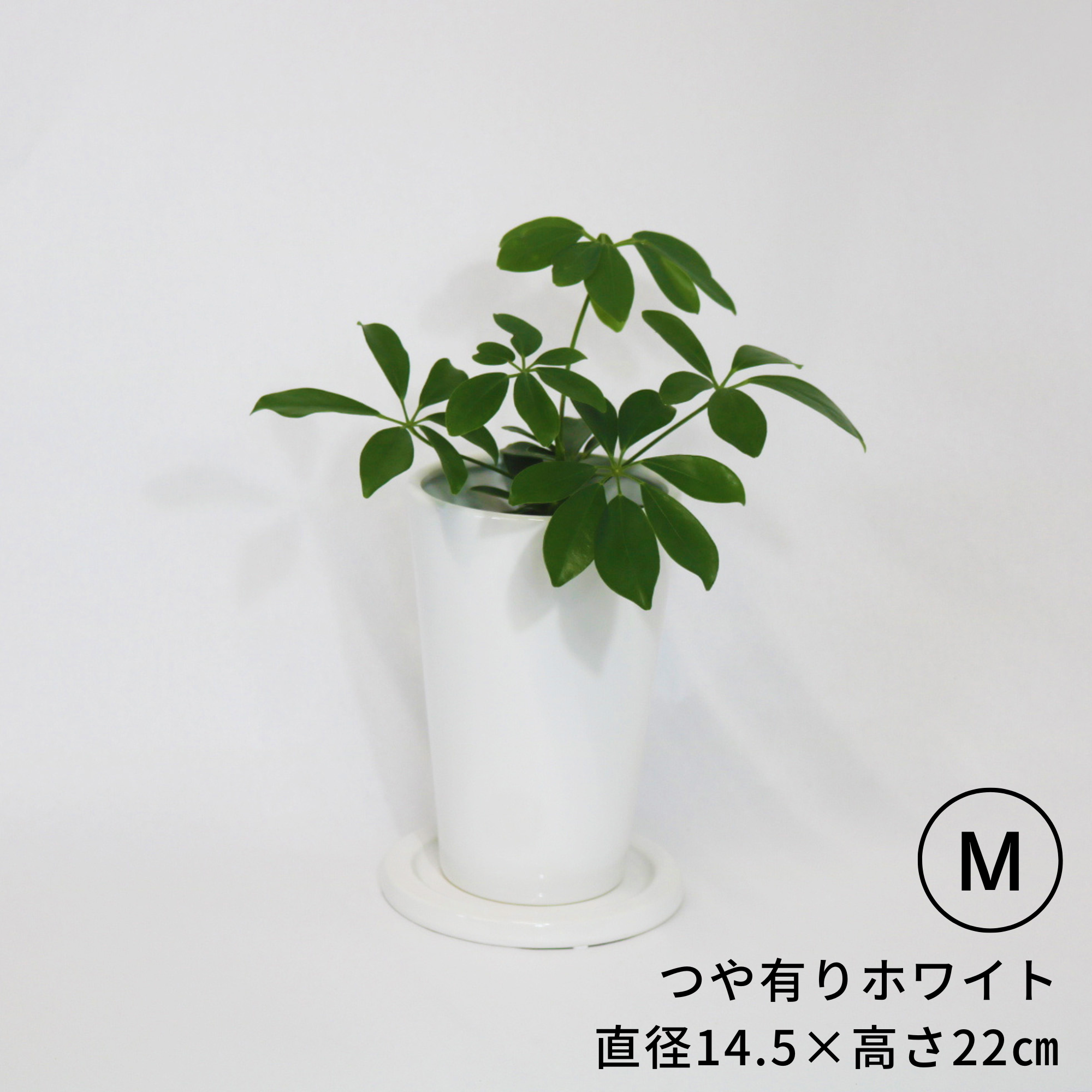 鉢専門店】onajimiのシンプルな白色の室内用植木鉢 陶器｜にんじんさん丸