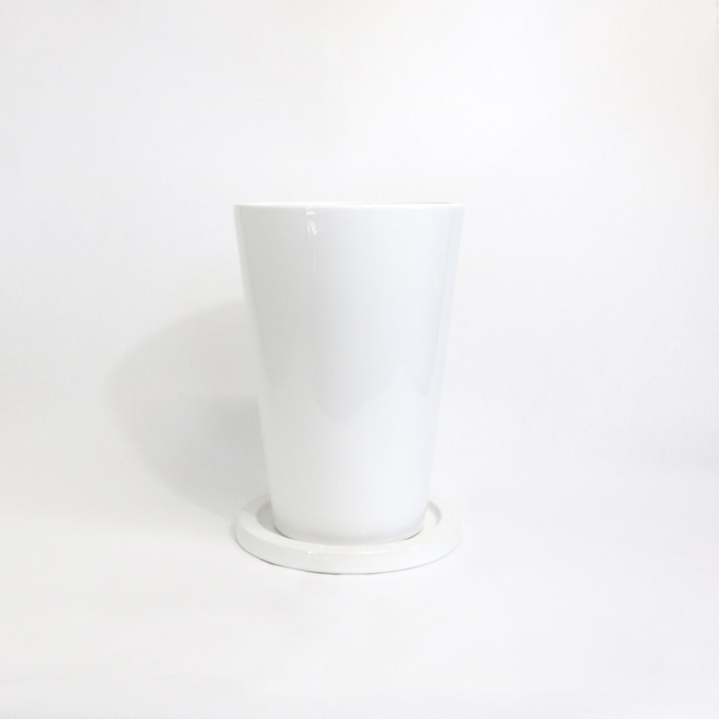 にんじんさん丸 Lサイズ