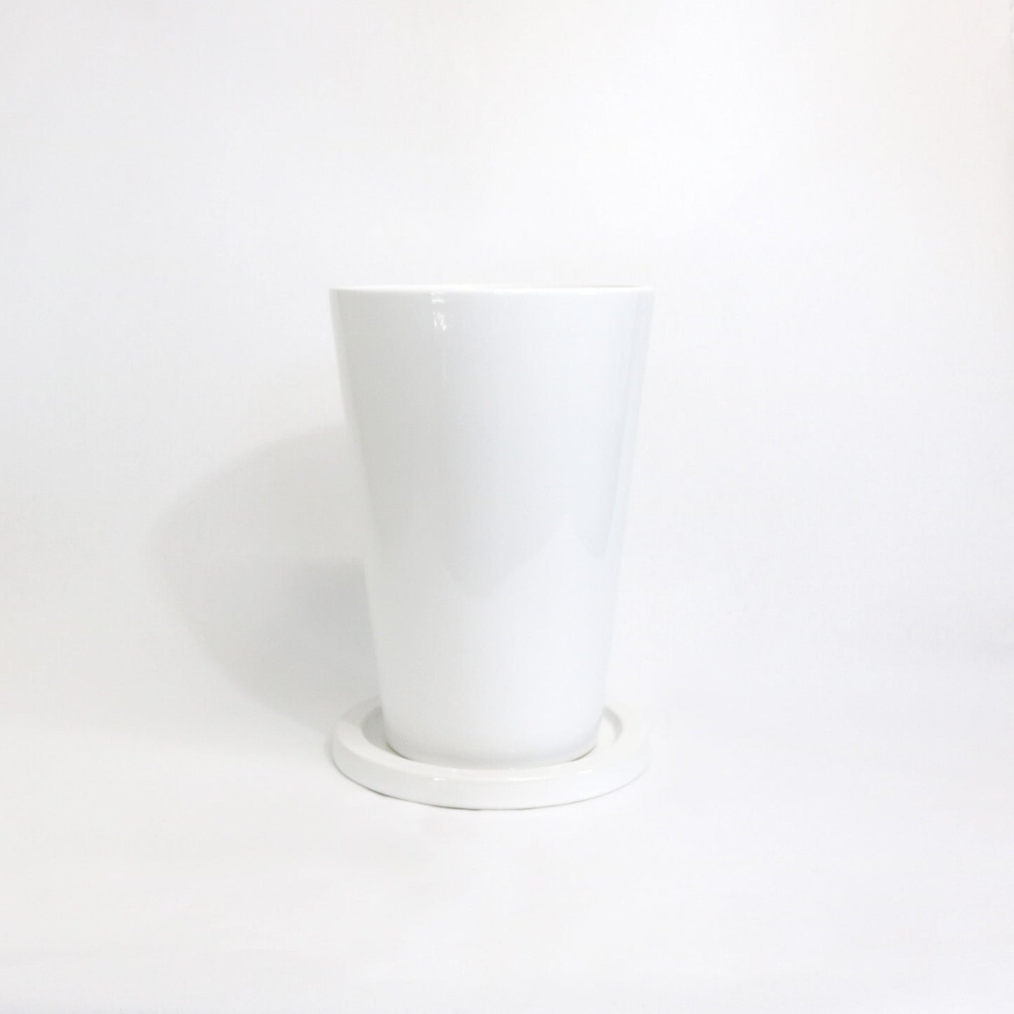 にんじんさん丸 XLサイズ