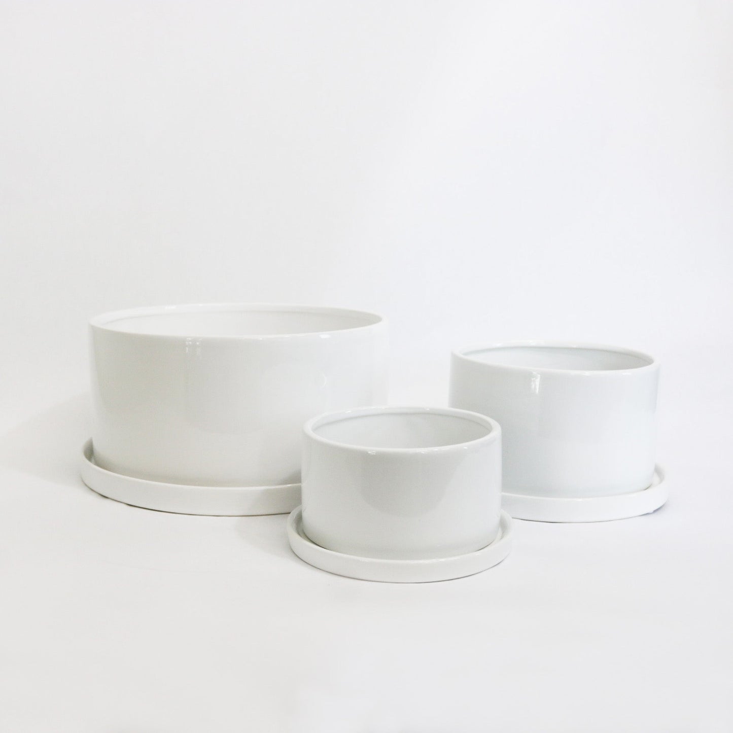 円柱さん Lサイズ