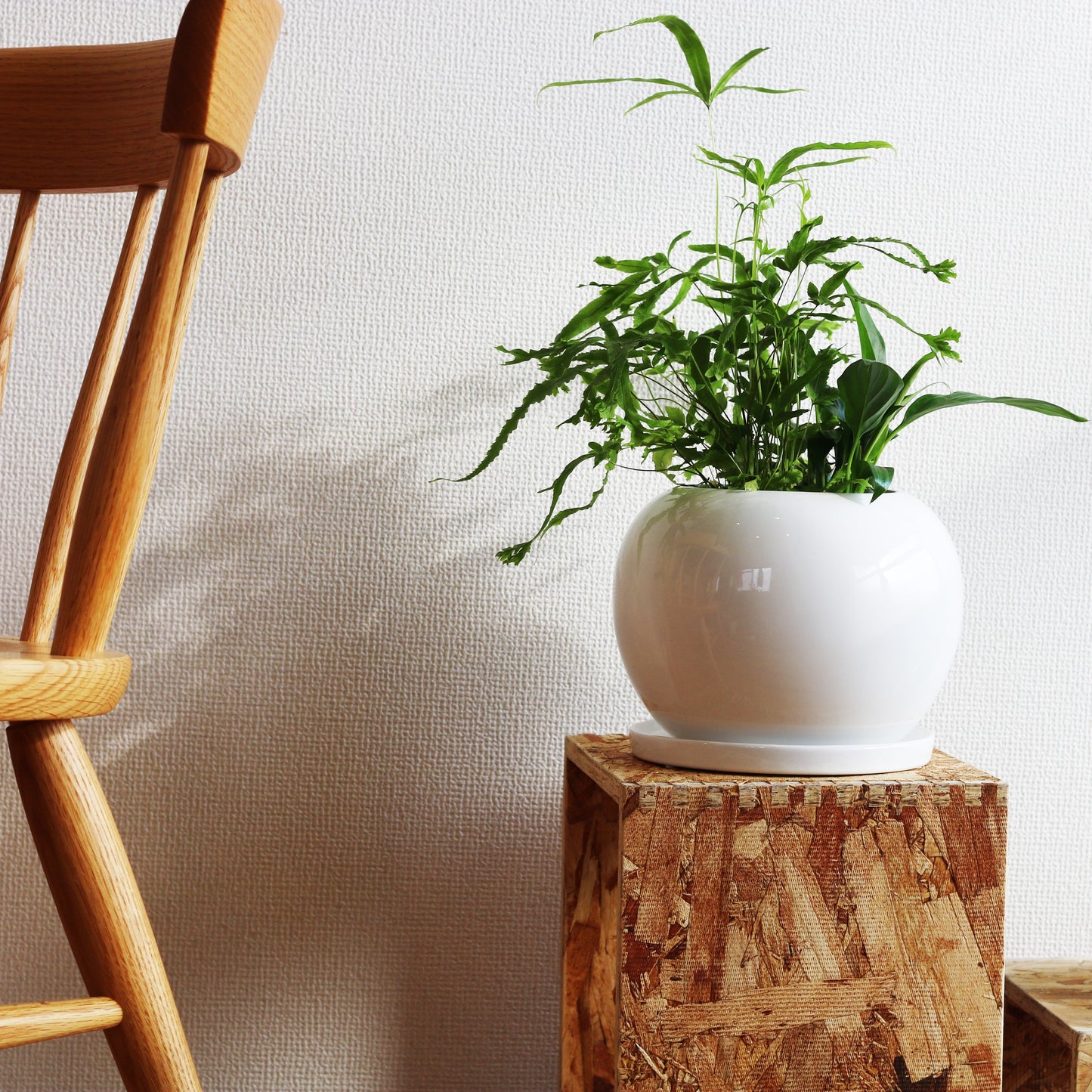 りんごさん Lサイズ