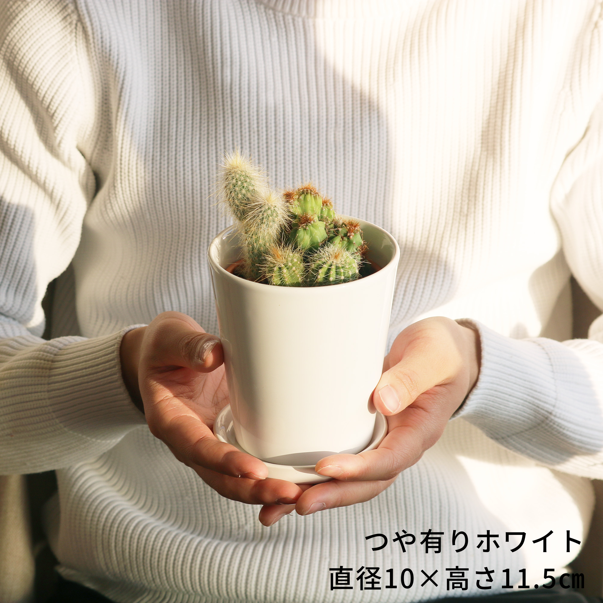 【SOLSO FARM】セメント製　③ホワイト植木鉢 中型 　1点 pot_Foliageplant_white_pp0060_
