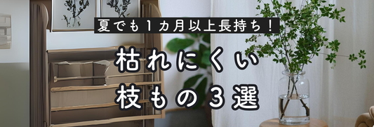 夏でも長持ち！枯れにくい枝もの３選