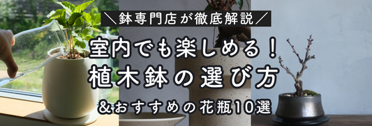 鉢専門店が紹介！植木鉢の選び方　底穴の有無・素材・サイズは？おすすめの鉢もご紹介