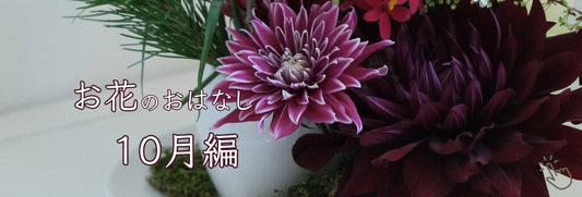 旬な花　10月　ダリア