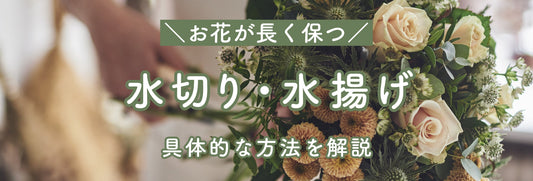 水切り・水揚げ　切り花が長持ちする方法とコ ツ