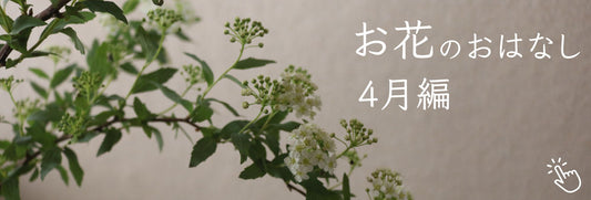 おなじみ onajimi 4月におすすめのお花
