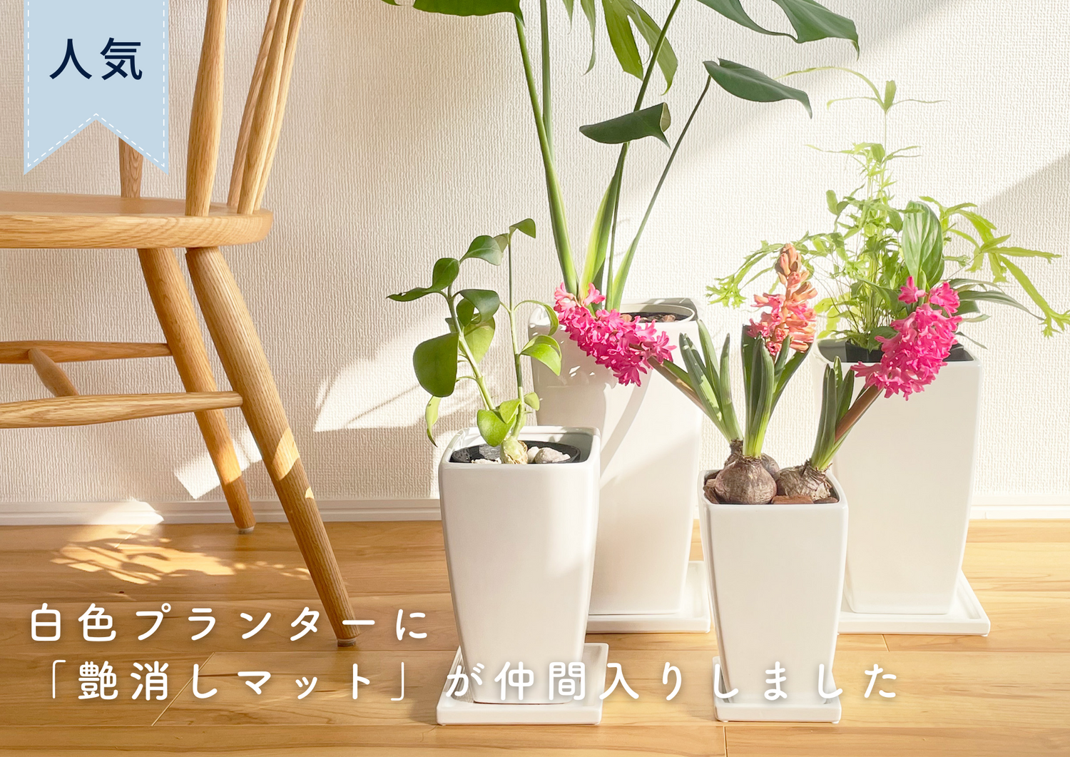 優しい雰囲気「艶消しマット」な白い植木鉢