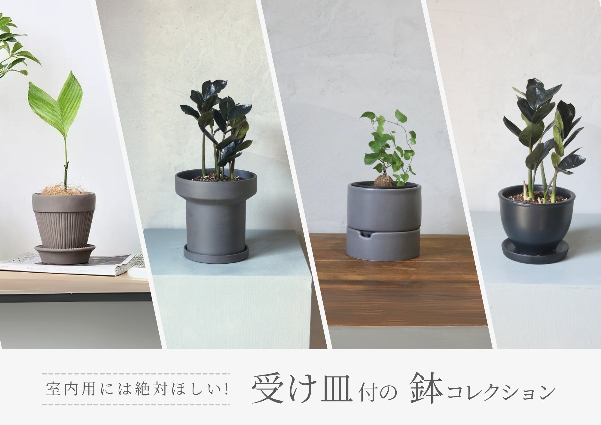 植木鉢と花瓶の専門店 onajimi おなじみ