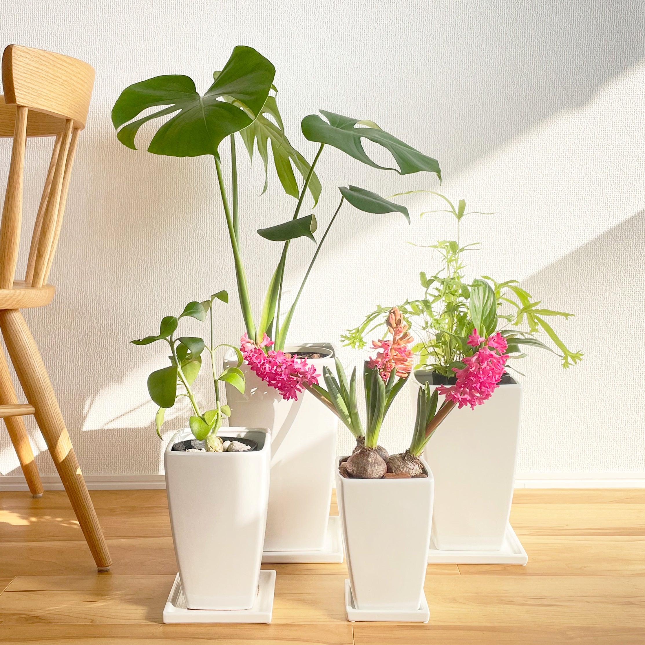 植木鉢と花瓶の専門店 onajimi おなじみ
