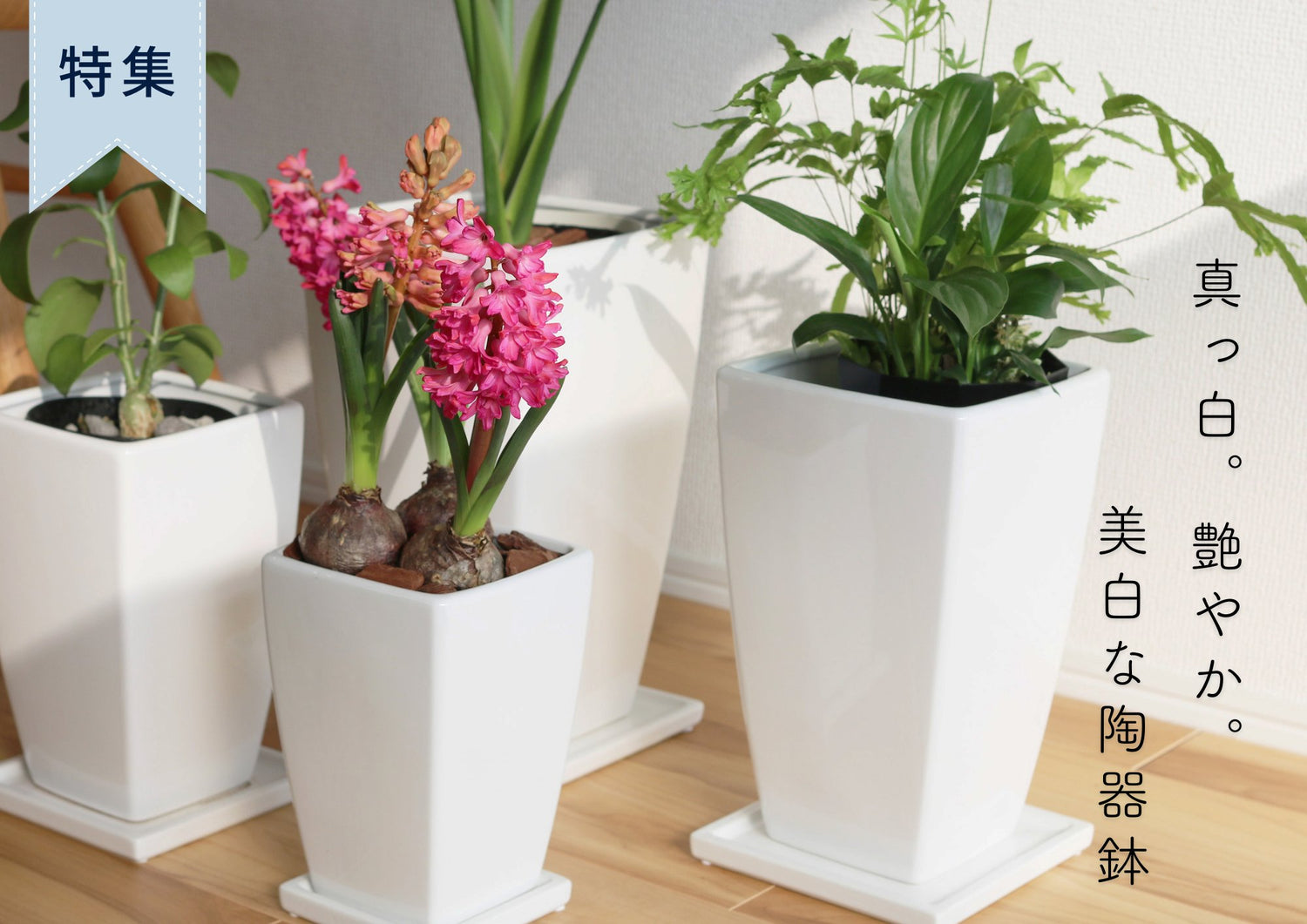 上品な雰囲気 艶あり植木鉢