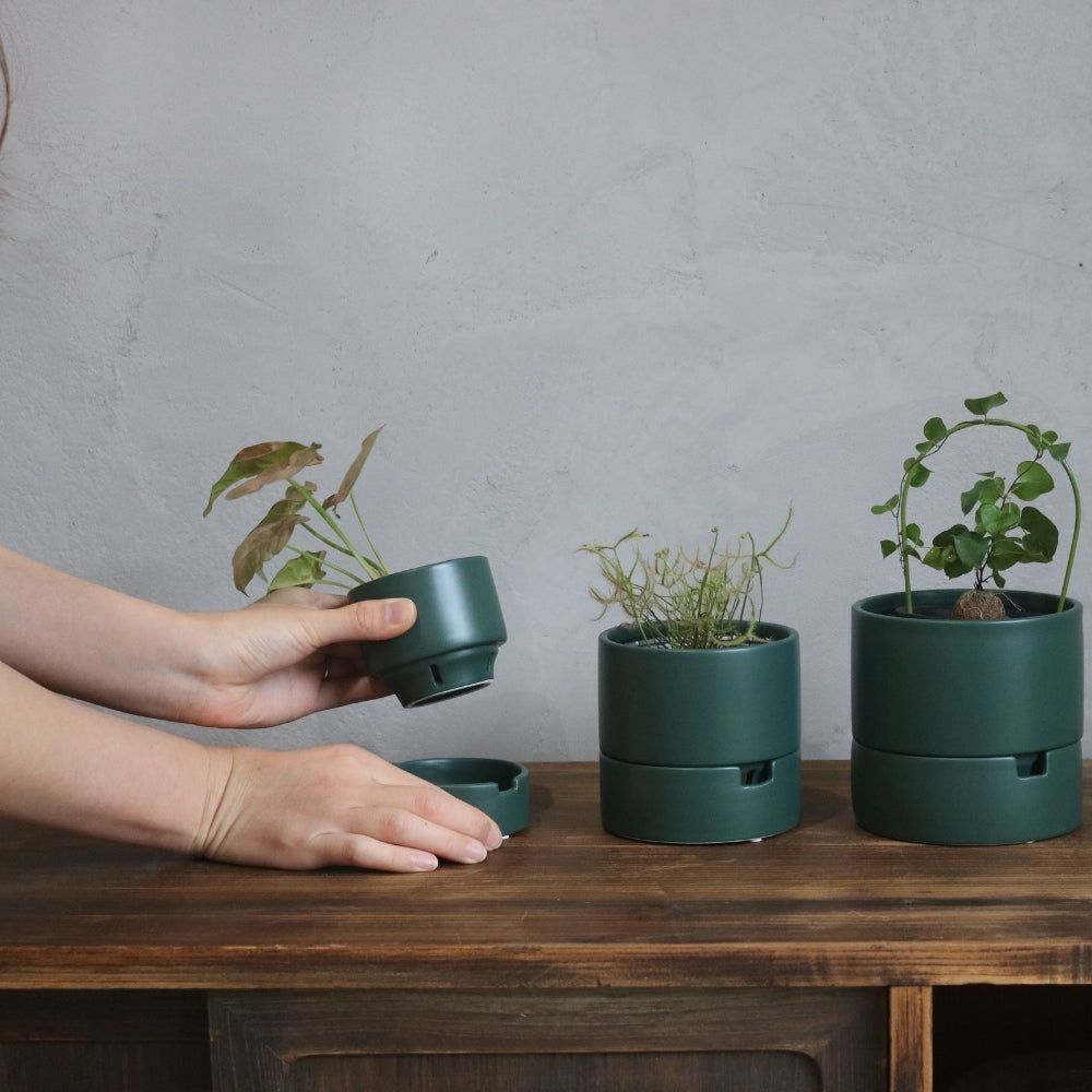 食虫植物・ハイドロカルチャーにぴったり｜陶器 植木鉢｜3号｜す
