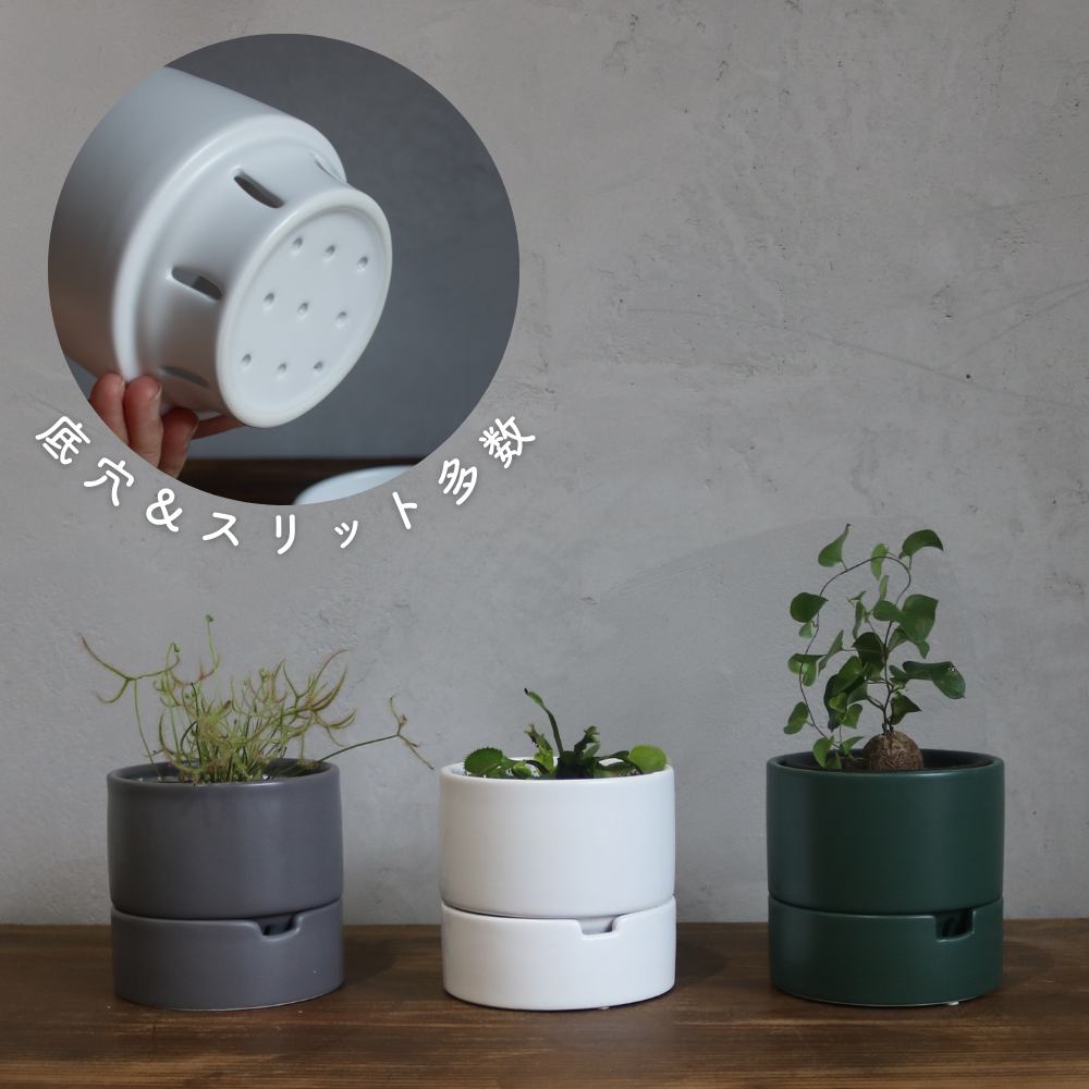 鉢・プランター Botanize&neoshiho Plants Pot SS 鉢・プランター 鉢・プランター Botanize&neoshiho Plants Pot SS 鉢・プランター