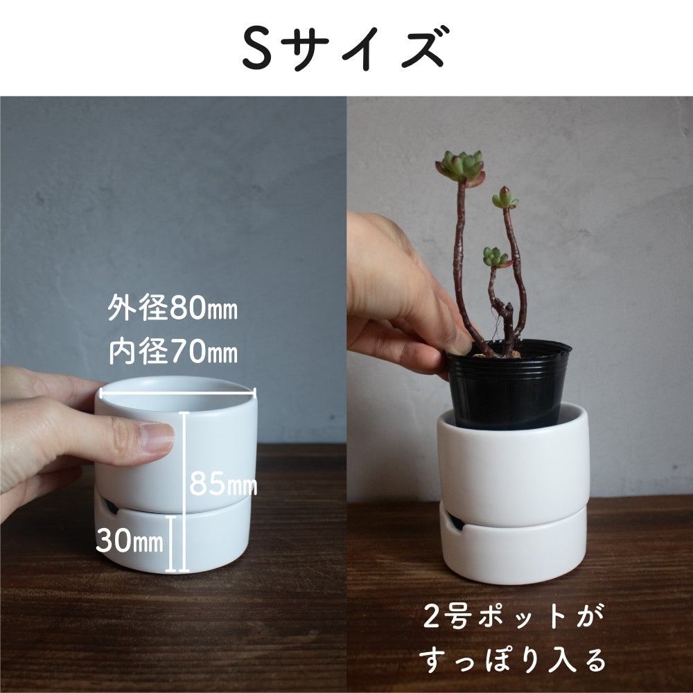 食虫植物・ハイドロカルチャーにぴったり｜陶器 植木鉢｜2号｜すーさん＠鉢の専門店onajimi