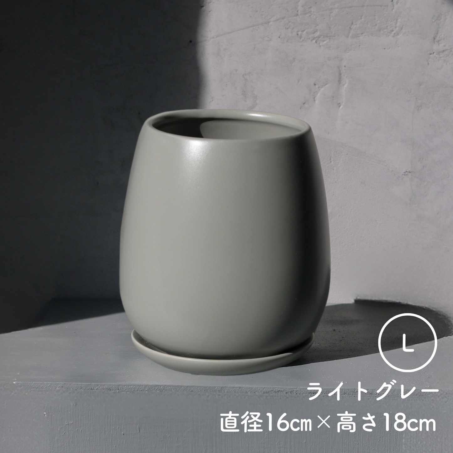 たまごさん　Lサイズ 　丸み皿